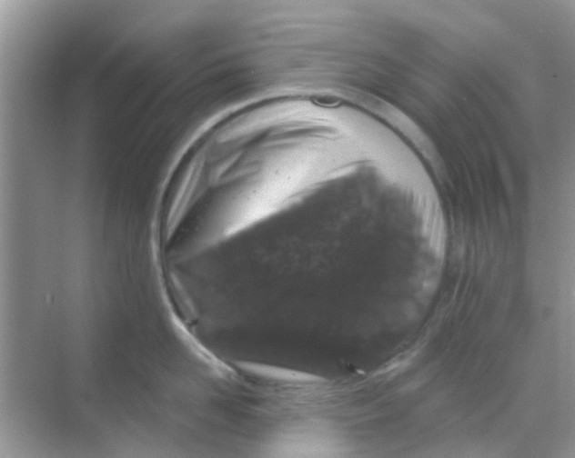 X0000068270958200605121843