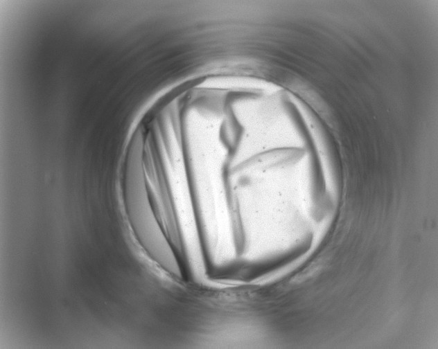 X0000068270960200605121843