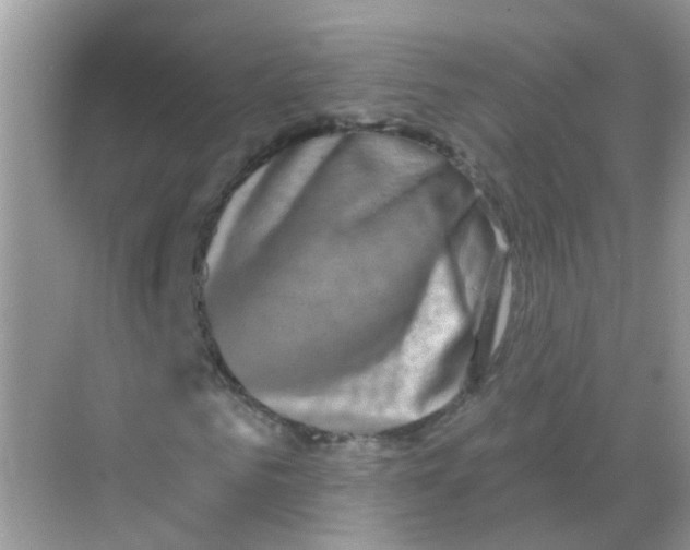 X0000068270961200605121842