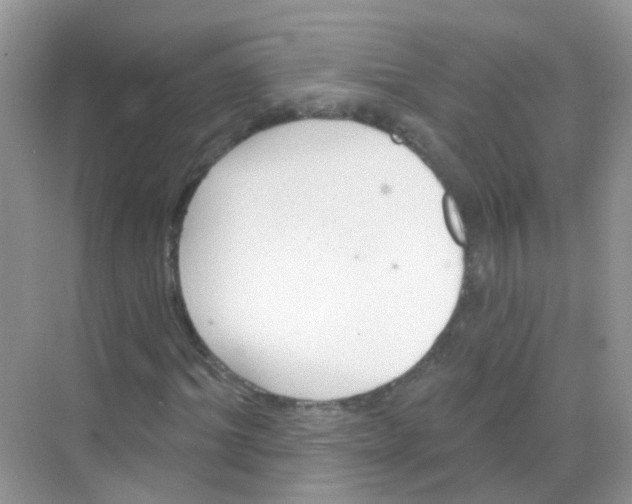 X0000068270964200605121842