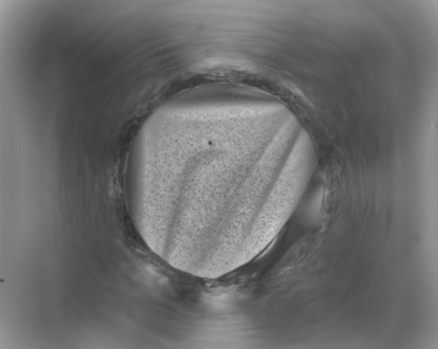 X0000068270965200605121842