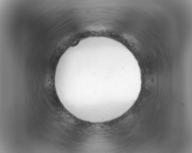 X0000068270966200605121842