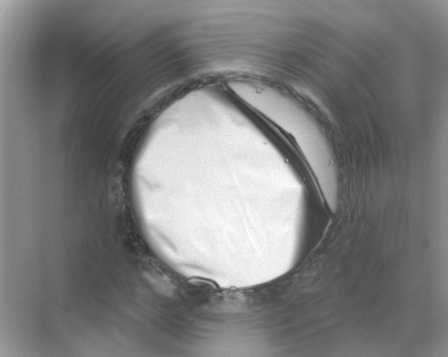 X0000068270968200605121842