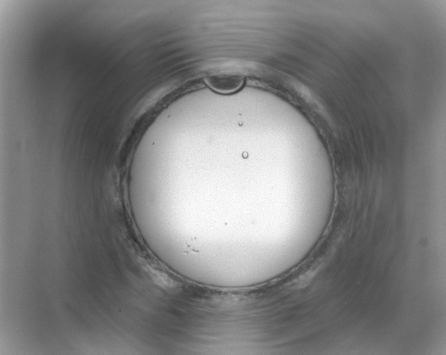 X0000068270970200605121842