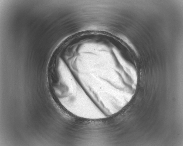 X0000068270972200605121842