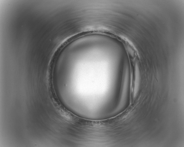 X0000068270975200605121842