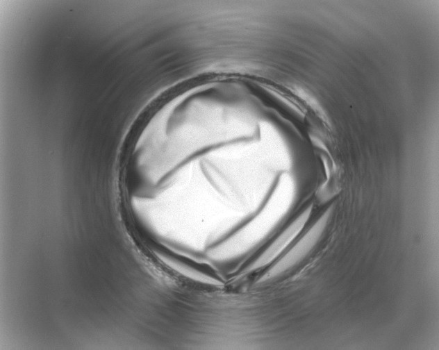 X0000068270976200605121842