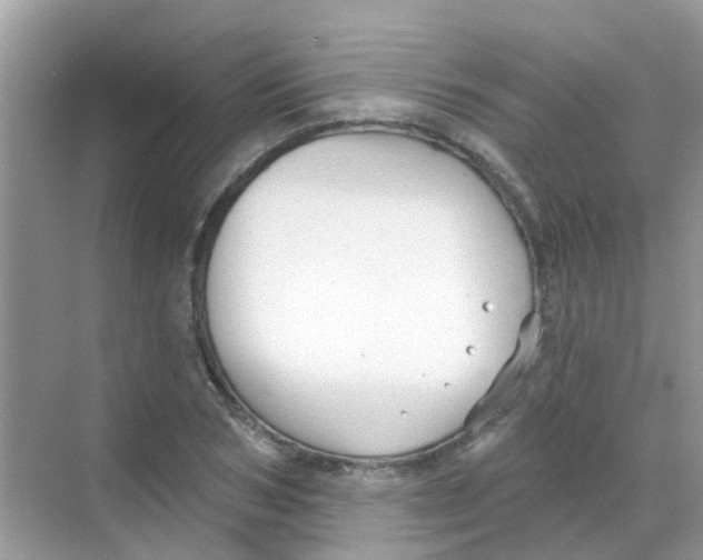 X0000068270978200605121841