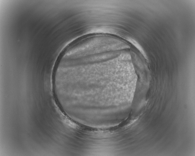 X0000068270980200605121841