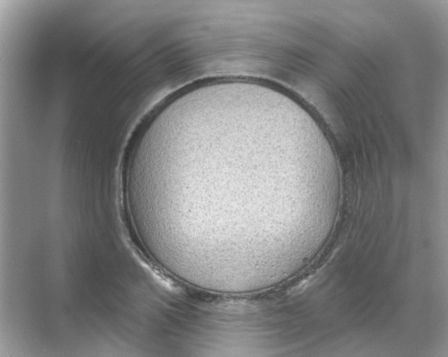 X0000068270982200605121841