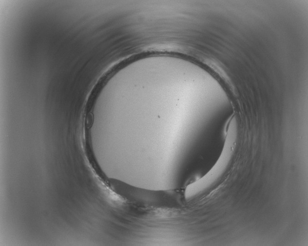 X0000068270984200605121841