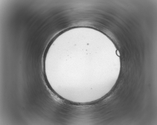 X0000068270988200605121841