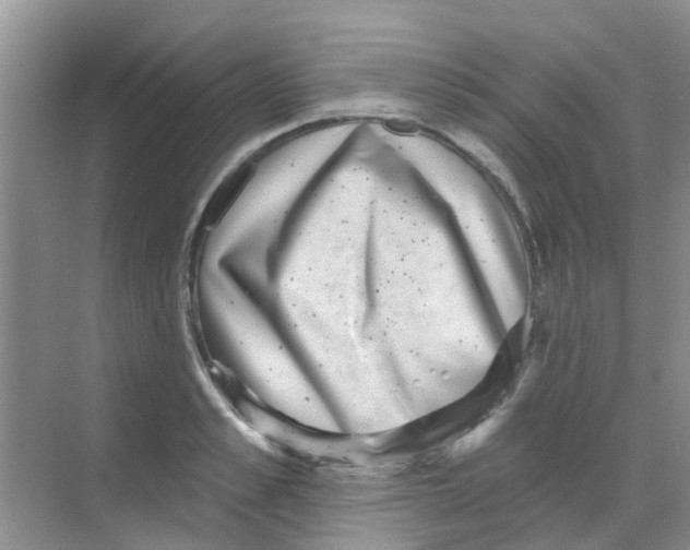 X0000068270989200605121841