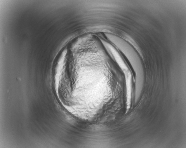 X0000068270994200605121841