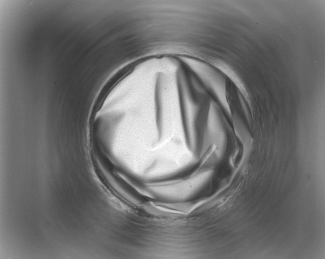 X0000068270996200605121841