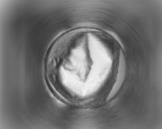 X0000068270999200605121841