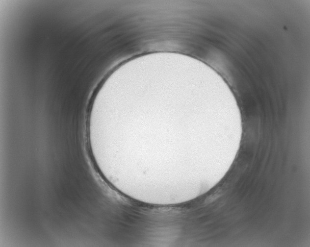 X0000068271000200605121841