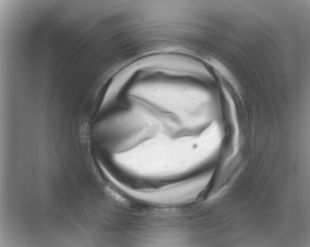 X0000068271001200605121841