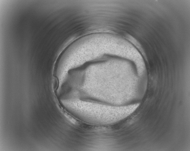 X0000068271002200605121841