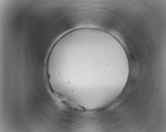 X0000068271004200605121841