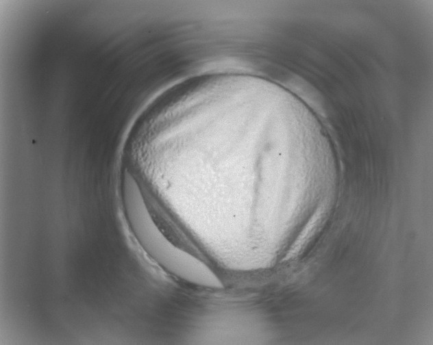 X0000068271008200605121841