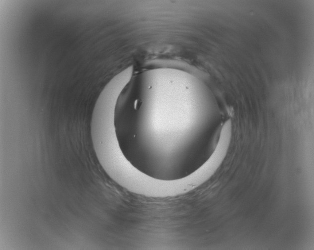 X0000068271010200605121840