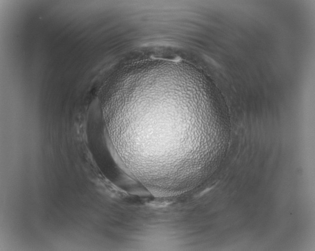 X0000068271014200605121840