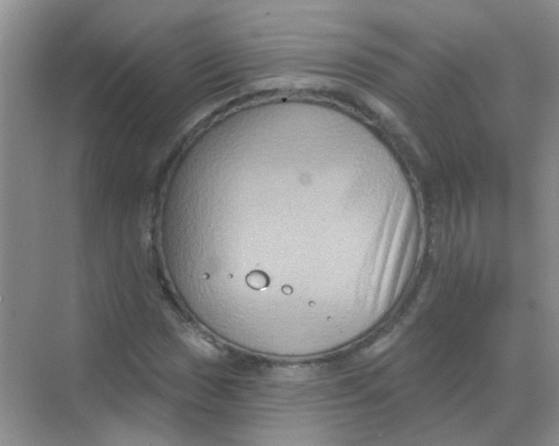 X0000068271017200605121840