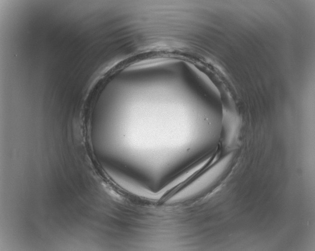 X0000068271018200605121840