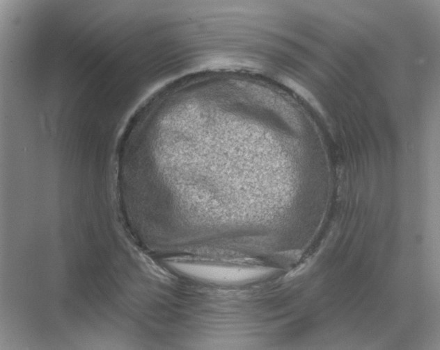 X0000068271021200605121840