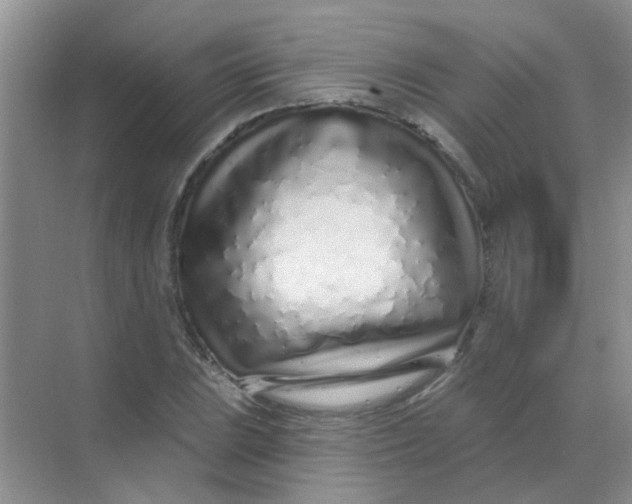 X0000068271023200605121840