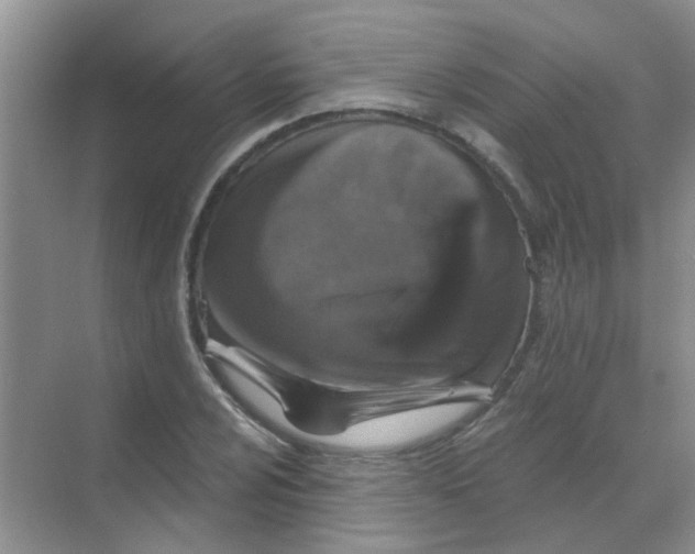 X0000068271024200605121840