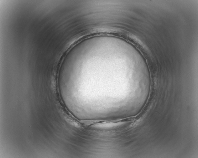 X0000068271025200605121840