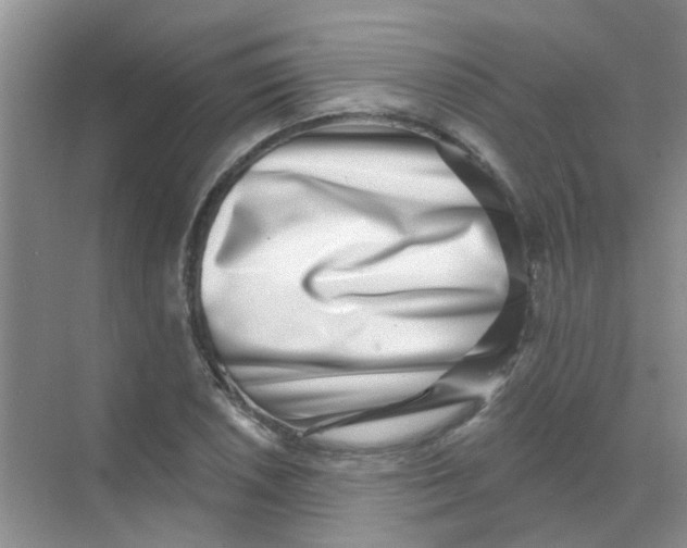 X0000068271026200605121840