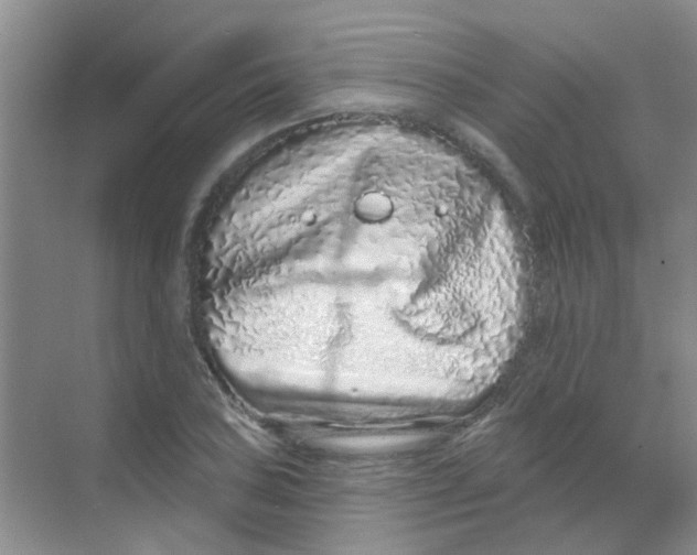 X0000068271027200605121840