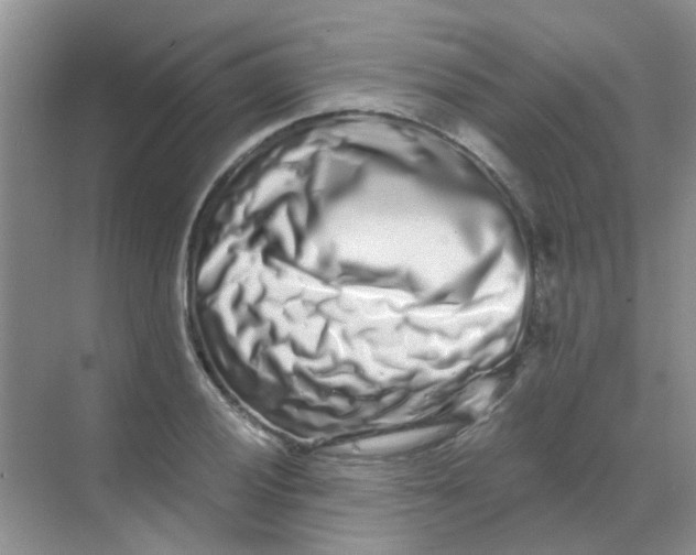 X0000068271028200605121841