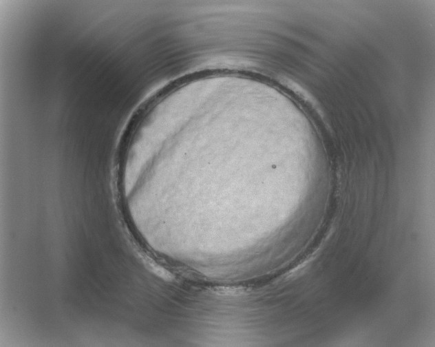 X0000068271029200605121841