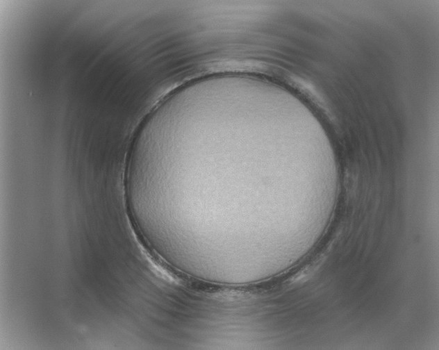 X0000068271033200605121841