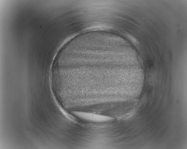 X0000068271034200605121841