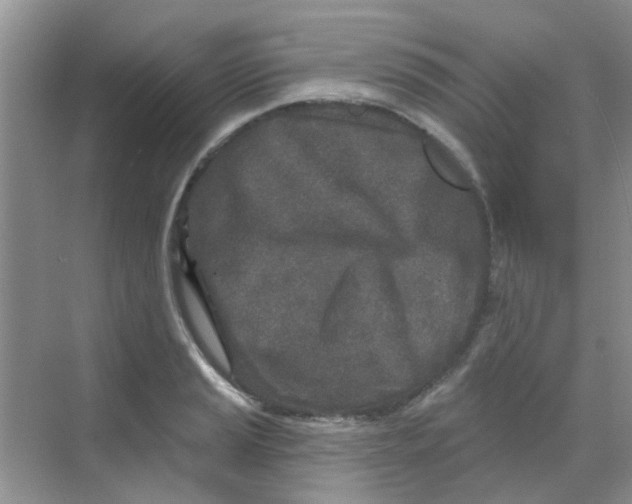 X0000068271037200605121841