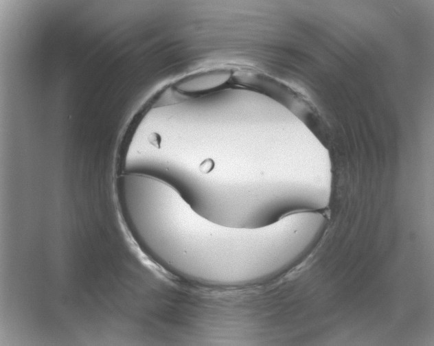 X0000068271038200605121841