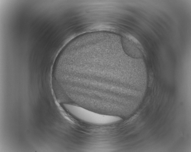 X0000068271039200605121841