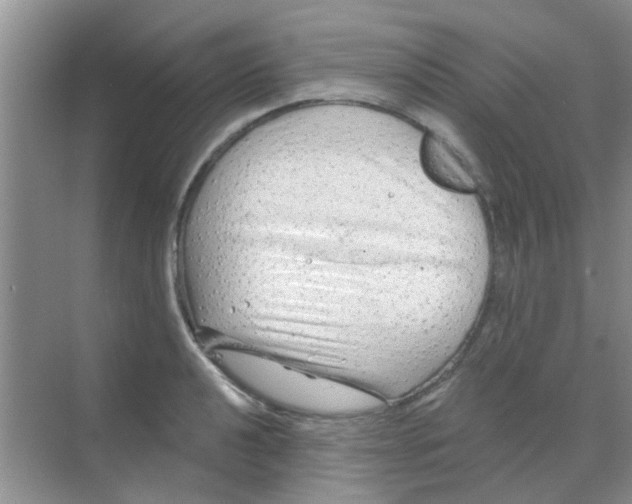 X0000068271040200605121841