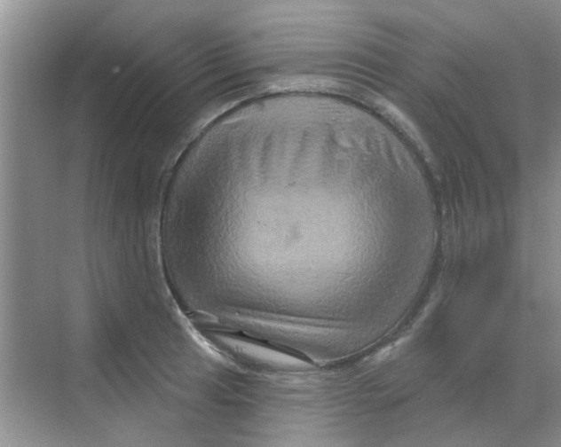 X0000068271041200605121841