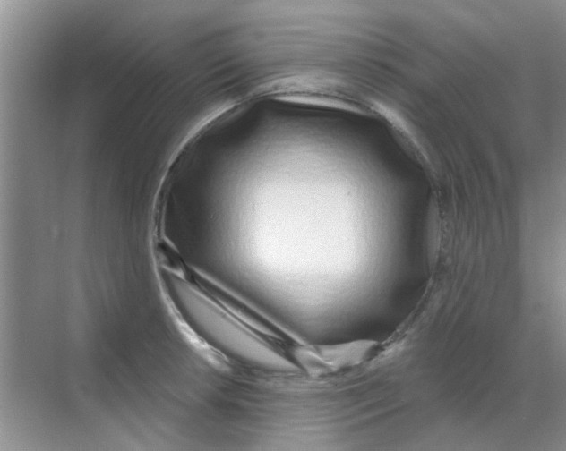 X0000068271042200605121841