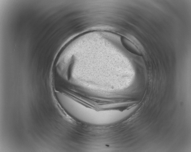 X0000068271044200605121841