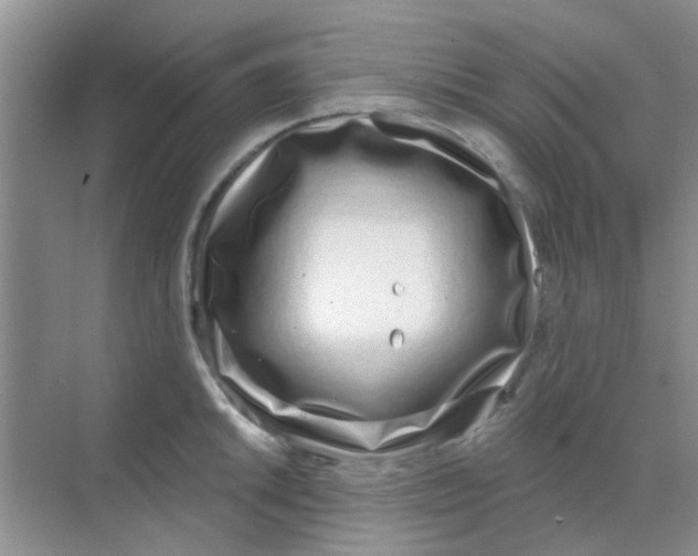 X0000068271046200605121841