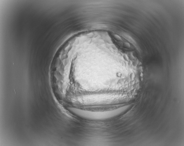 X0000068271047200605121841