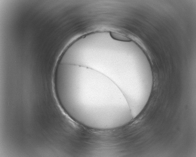 X0000068271048200605121841