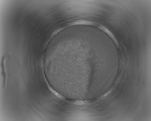 X0000068271049200605121841